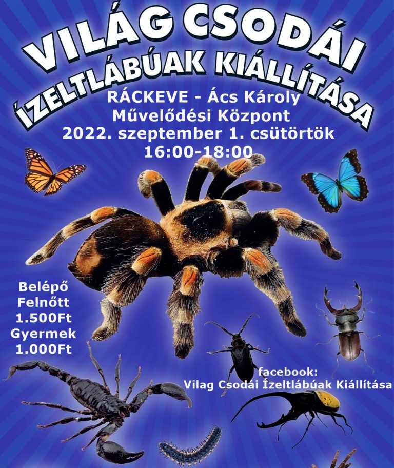 Világ Csodái Ízeltlábúak kiállítása – Ács Károly Művelődési Központ