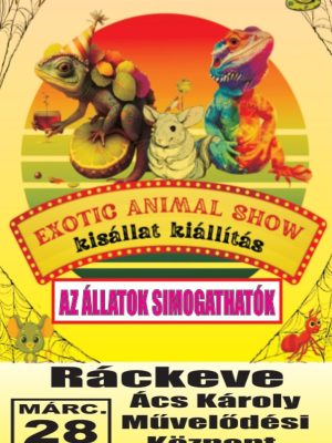 Kisállat kiállítás