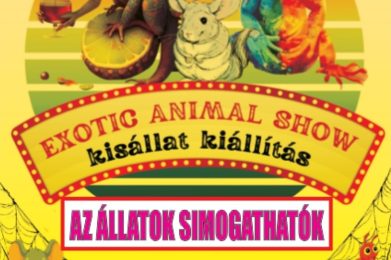 Kisállat kiállítás