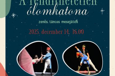 A rendíthetetlen ólomkatona